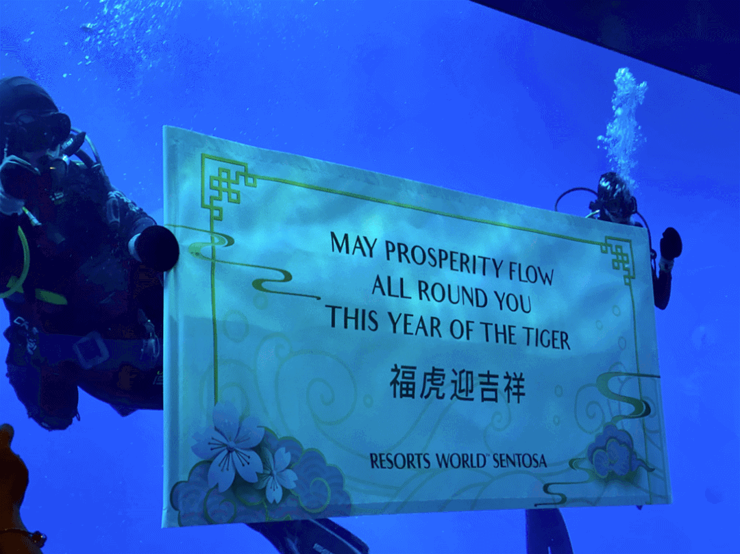 新加坡2022春節最好玩的20個活動都在這啦!插年花、海底下午茶、牛車水花燈展