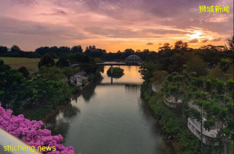 美如畫卷的新加坡，等你來!