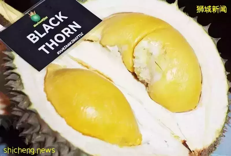 新加坡 榴梿季來襲