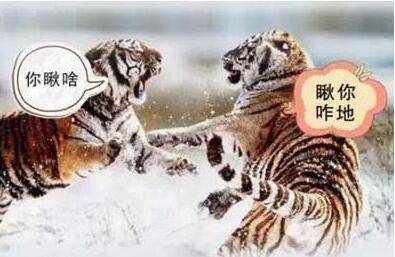 “你瞅啥”“瞅你咋地兒”！新加坡因“瞅”發生鬥毆事件