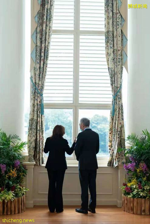 美国副总统访问新加坡，谈成了什么？竟遭中国网友吐槽