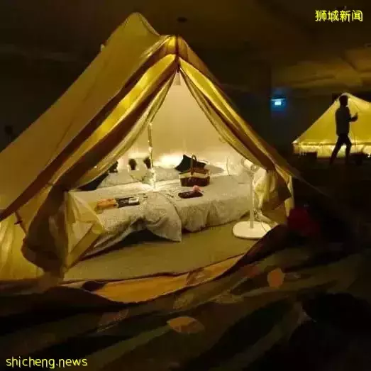 小朋友超爱！裕廊飞禽公园露营！和火烈鸟一起度过美好夜晚