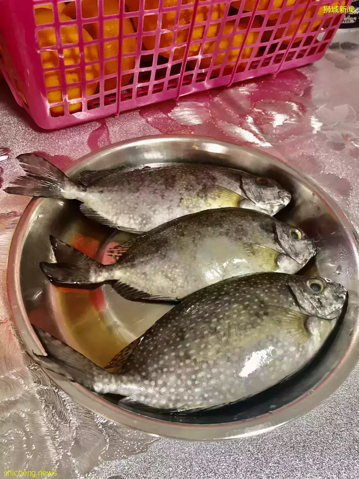 魚商: “發財魚”白肚魚大年初二仍熱賣 價格開始回落