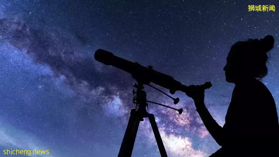 作爲NTUer的你，知道這些“真香”選修課嗎