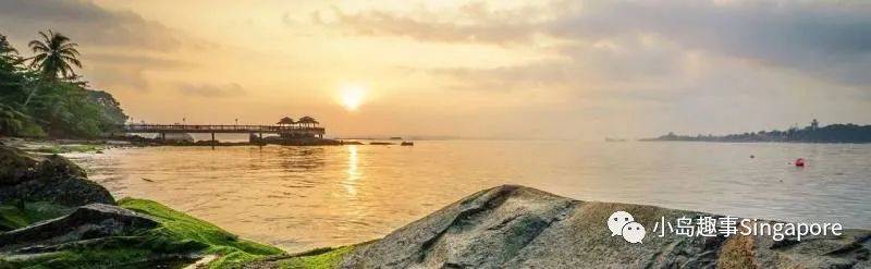 新加坡5個最美離島攻略，花十幾新幣仿佛“出國遊”