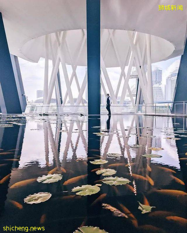 多彩东盟之新加坡:狮城博物馆,颜值和实力缺一不可