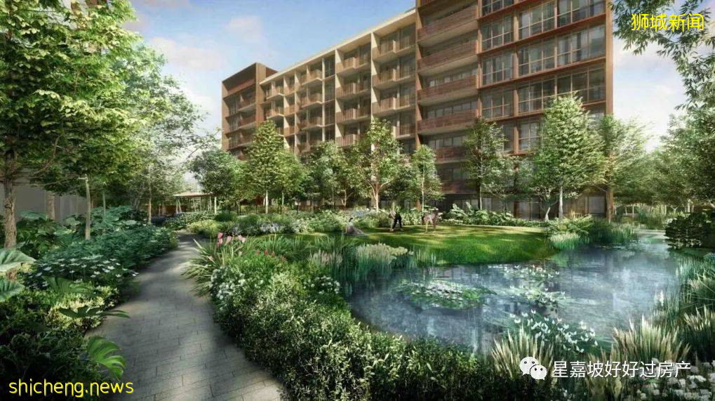 震惊!新加坡家庭平均月收入竟然高达2万坡币!今天你平均了吗