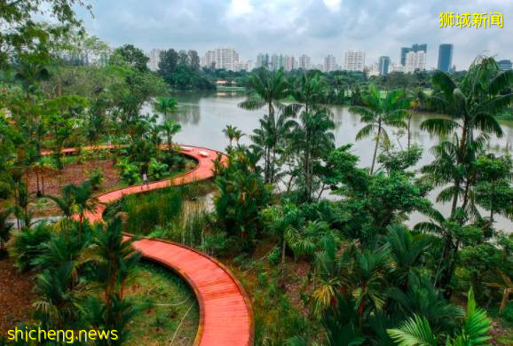 2021版新加坡隐秘小众骑行路线攻略!骑上自行车来探索这座熟悉的城市吧