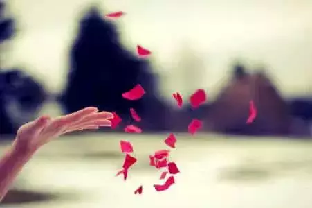 “冷暴力、无性婚姻5年,生活费只给$500,我要和新加坡老公离婚吗?”