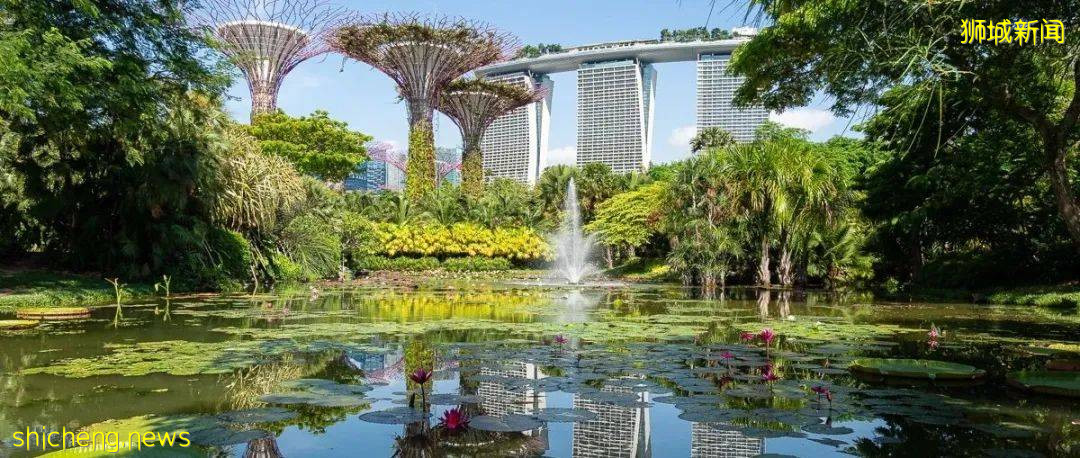 國大校園驚現水獺家族！背後竟有一段浪漫愛情故事