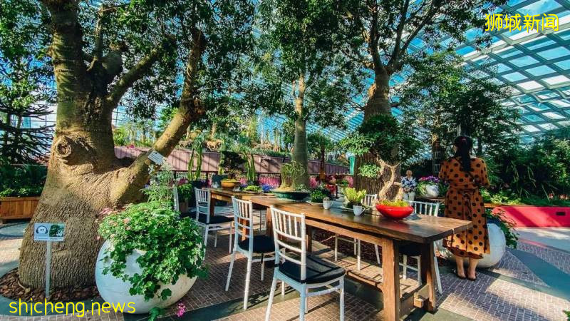 【本周活動】免費星空花園門票，機場免稅店4折，阿迪7折還送券