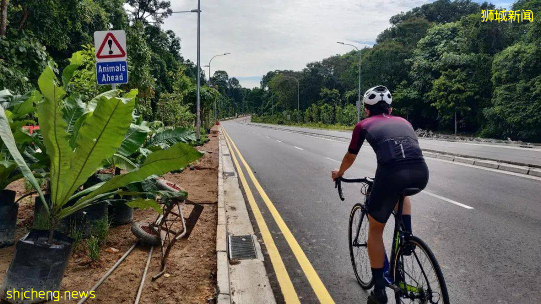 够胆就来!新加坡9个让人心跳加速的夜间约会好地方