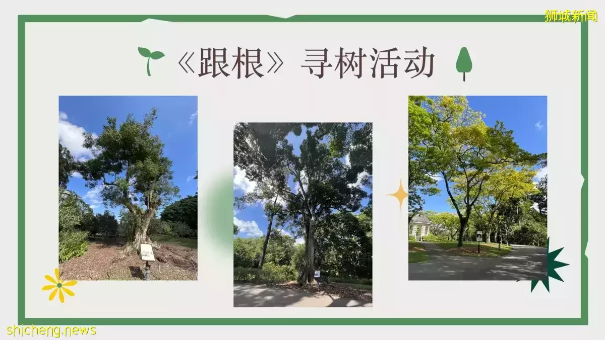 义安理工学院生本周末植物园举办“寻树”活动