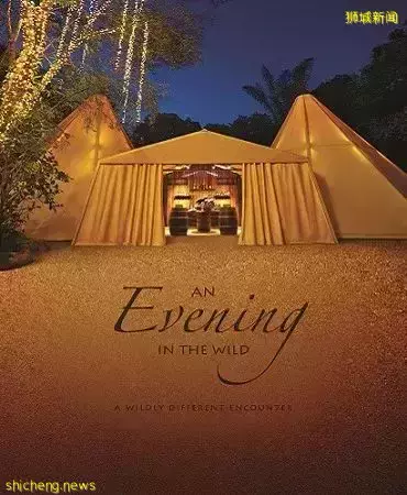 恐龍、卡丁車、公海之旅，親子聖誕去哪玩？看這篇就夠了