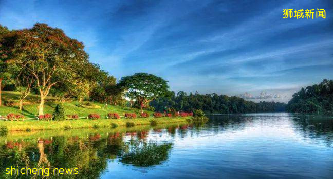 新加坡超火徒步路线!树梢吊桥、水映花树、长尾猴、松鼠、巨蜥,太美了