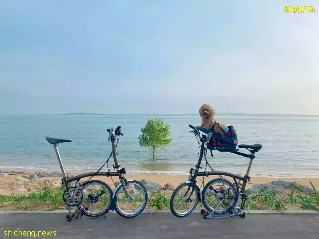 新加坡最新网红景点!风景绝美必打卡