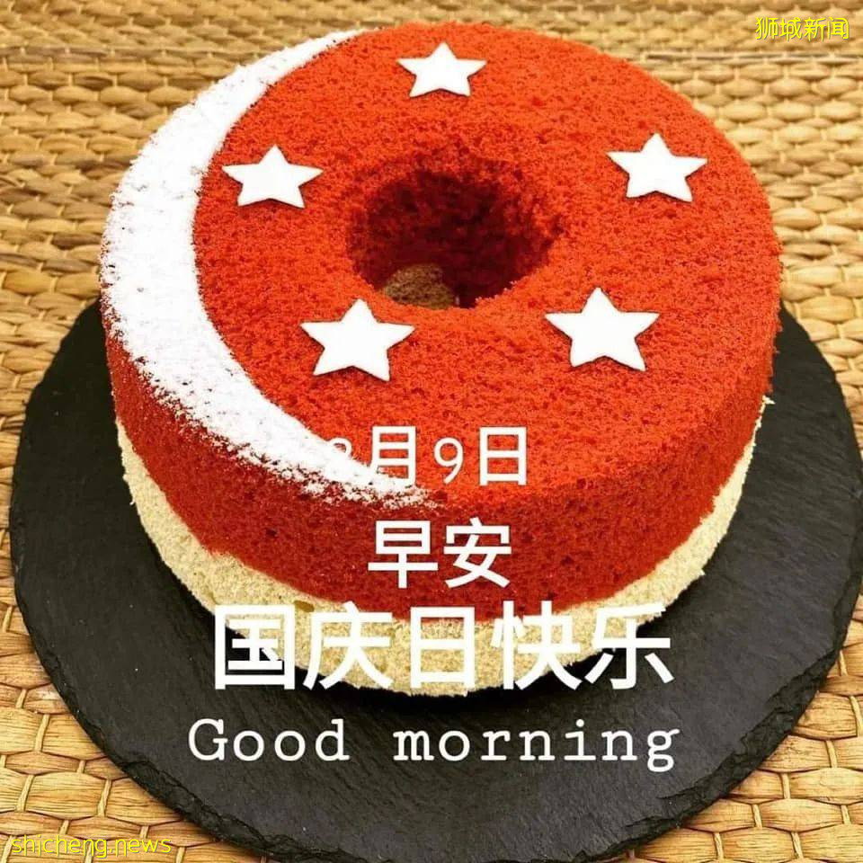 直升機、戰鬥機出動！李顯龍發表重要講話！56年了，新加坡讓全世界感動哭泣