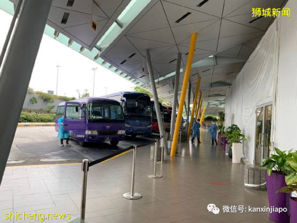 从伦敦飞13小时航程同排者确诊后，我在新加坡被这样安排