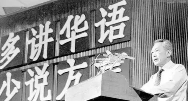 新加坡总统曾经建议中国抛弃汉语,全民学英文,幸亏没听他的