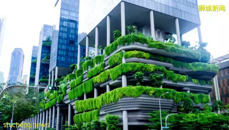 你以为的新加坡真的是你以为吗