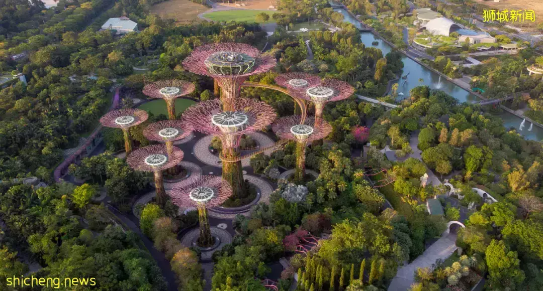 身份规划两步走，新加坡护照免签全球192国