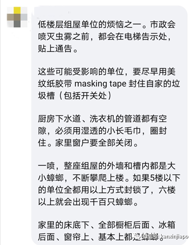 市镇会消毒垃圾槽,住家反被蟑螂大军“入侵”