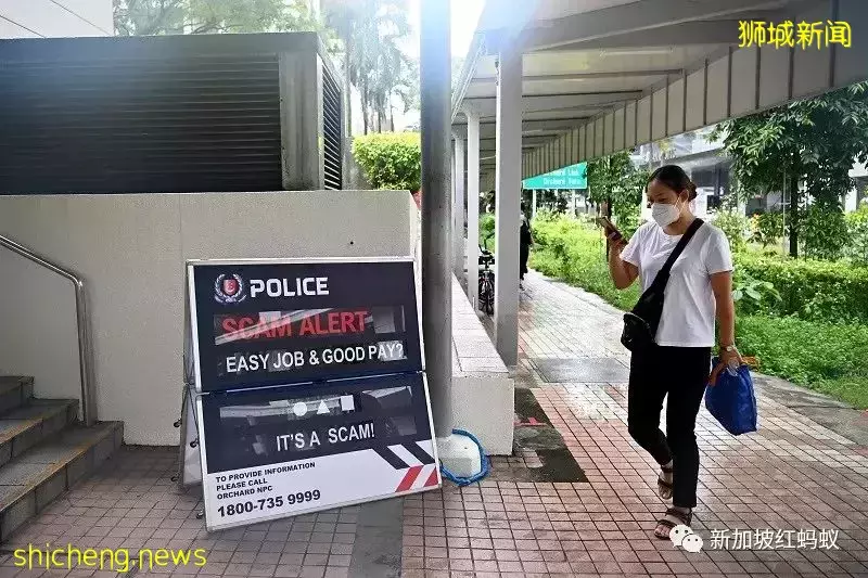 新加坡一些年轻人禁不住快钱诱惑 三年来被捕钱骡半数在30岁以下