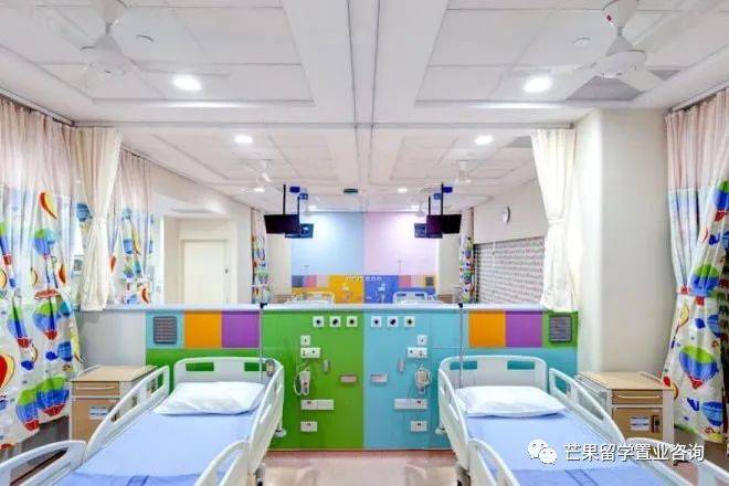 新加坡醫療之政府醫院