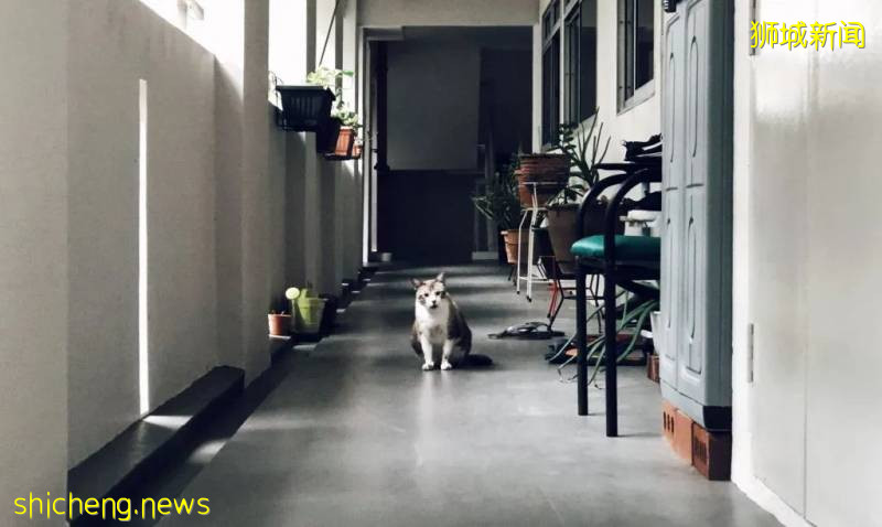 新冠疫情中，外賣騎手眼中的“折疊新加坡”!