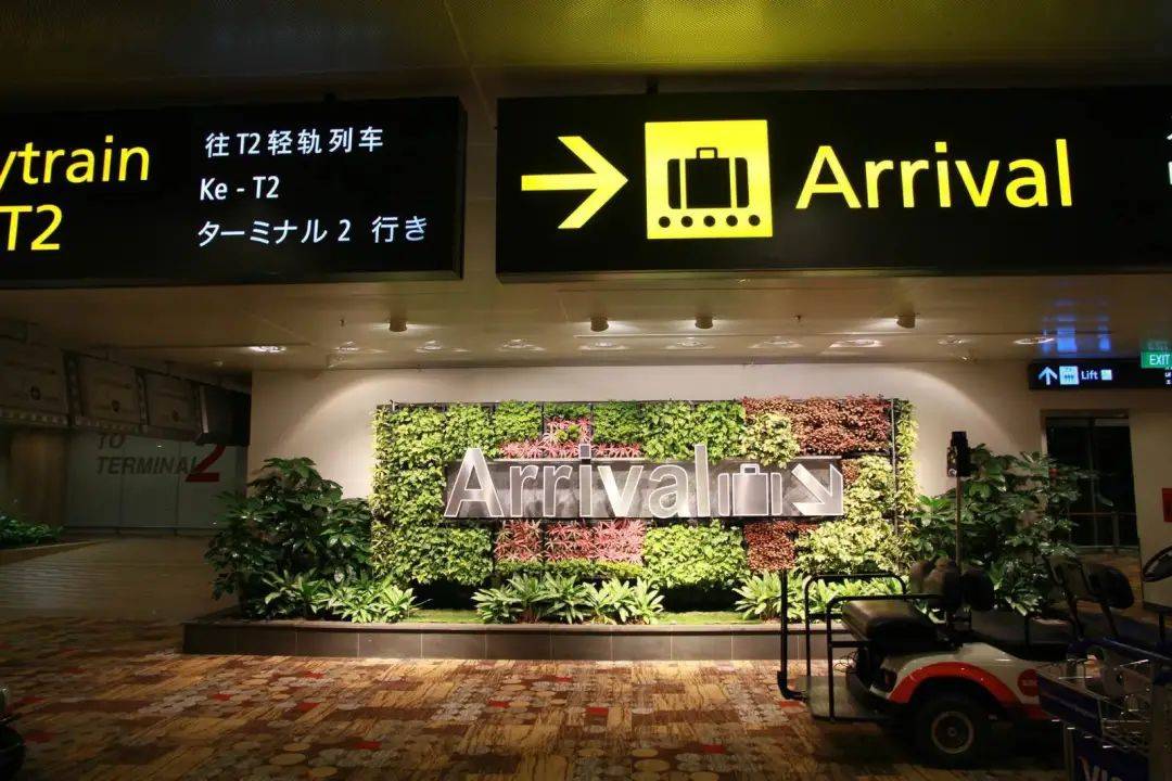 最新!最全!中国入境新加坡政策全解析