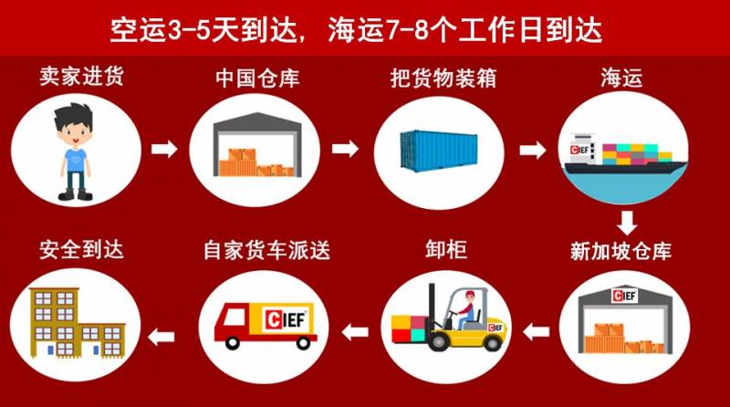 中國到新加坡送貨到門6RMB/KG，雙十一大促超給力