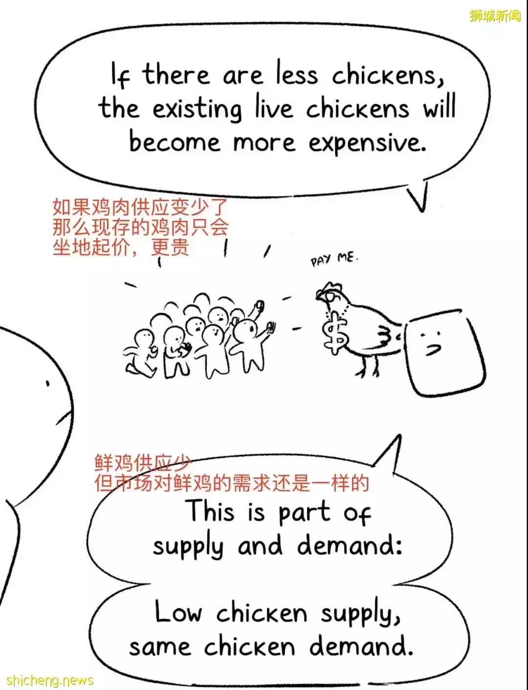 实拍新加坡超市鲜鸡被抢空、小贩关门!全球20多国家禁止这些粮食出口