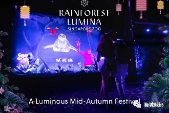 新加坡中秋節活動來襲，遍布全島！比中國還熱鬧