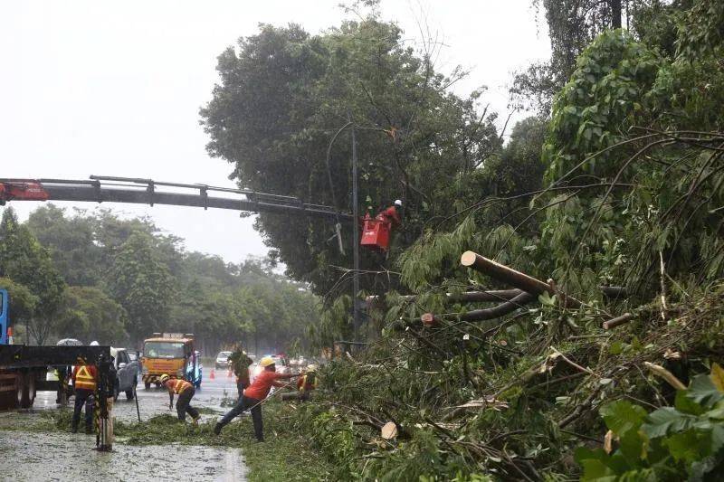 2021年第一周新加坡全島下傾盆大雨，這究竟是好還是壞