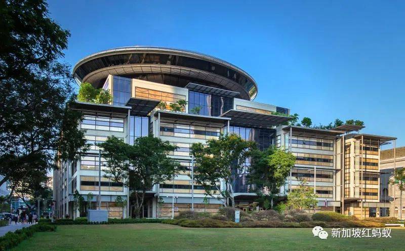 案中案？　新加坡高庭再推翻一女傭偷竊罪判決，“贓款”原來是“春色封口費”