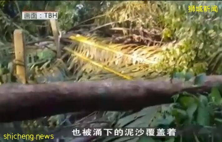 太嚇人了！新加坡被大雨淋到山體滑坡，20年來屬首次