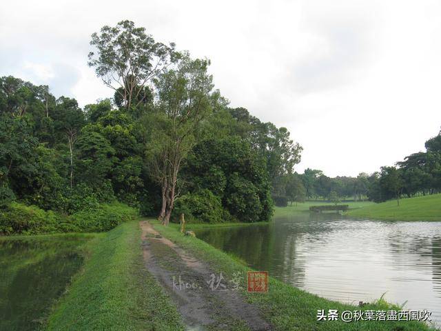 下月起，可以飞去新加坡旅游了。这些冷门免费地方值得一去