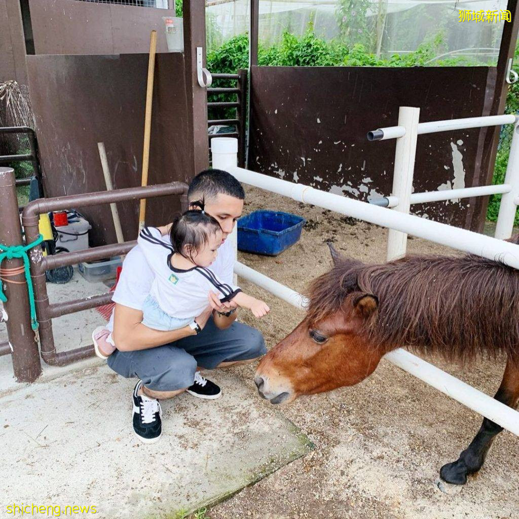 攻略收好、出發開啓親近動物之旅🦩從白天玩到晚上、10大景點近距離接觸小動物