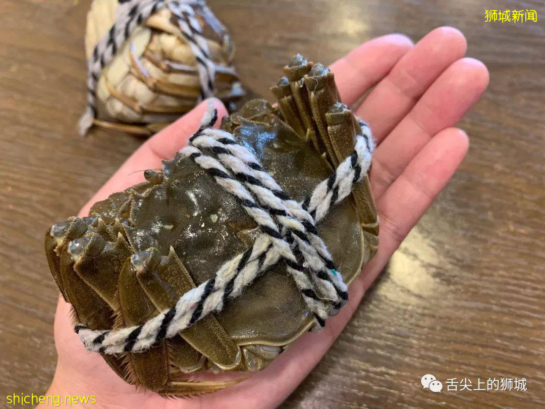 終終終于等到你！2021大閘蟹首登獅城，舌尖嘗鮮“六月黃”