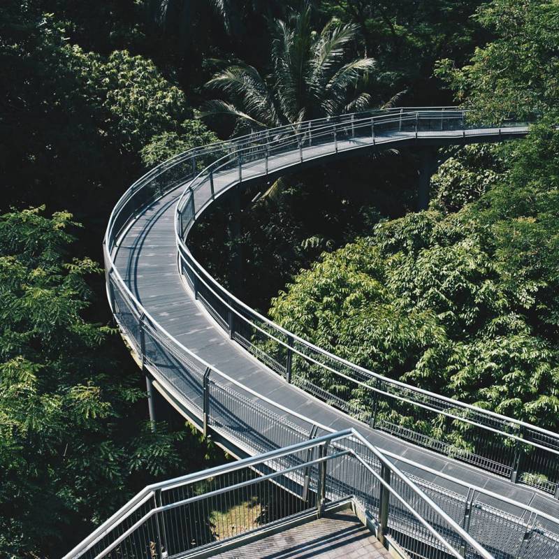 Southern Ridges 南部山脊,新加坡自然景觀帶!穿梭4座園區、多樣化徒步線路🌳 沿路景點大合集