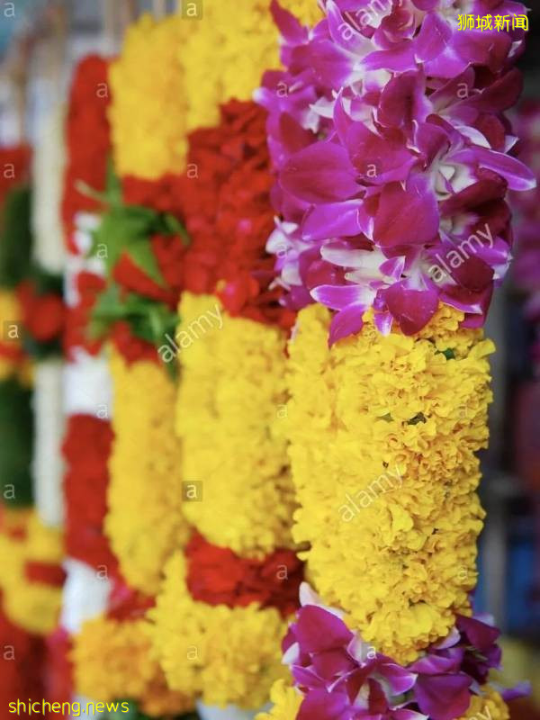 呆在狮城太无聊?带你邂逅不一样的“异域风情”