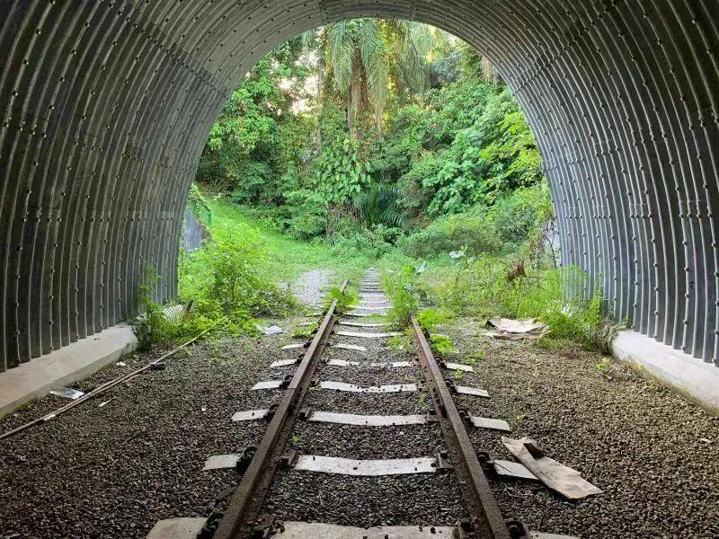 人少!景美!这条曾连接新加坡和马来西亚的“最美”铁路桥重新开放啦