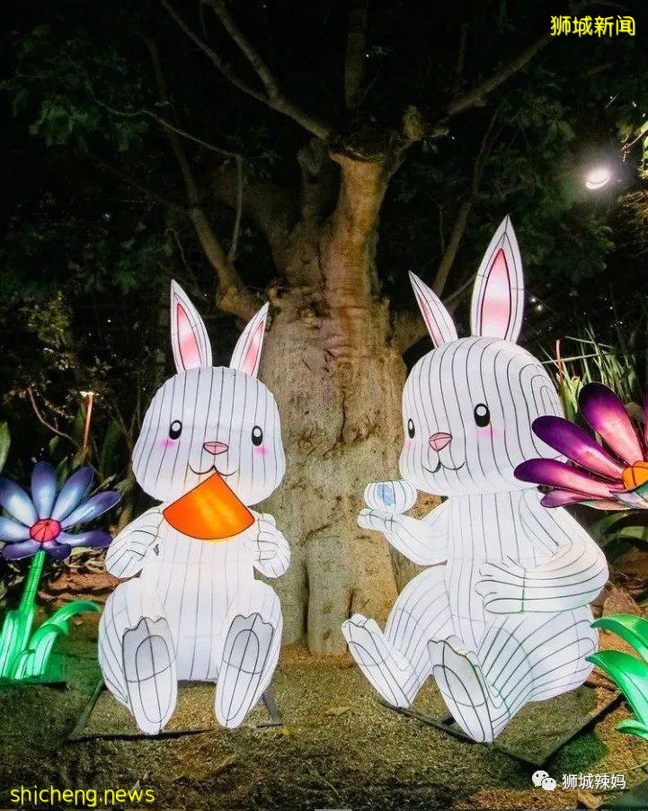 新加坡中秋節活動來襲，遍布全島！比中國還熱鬧