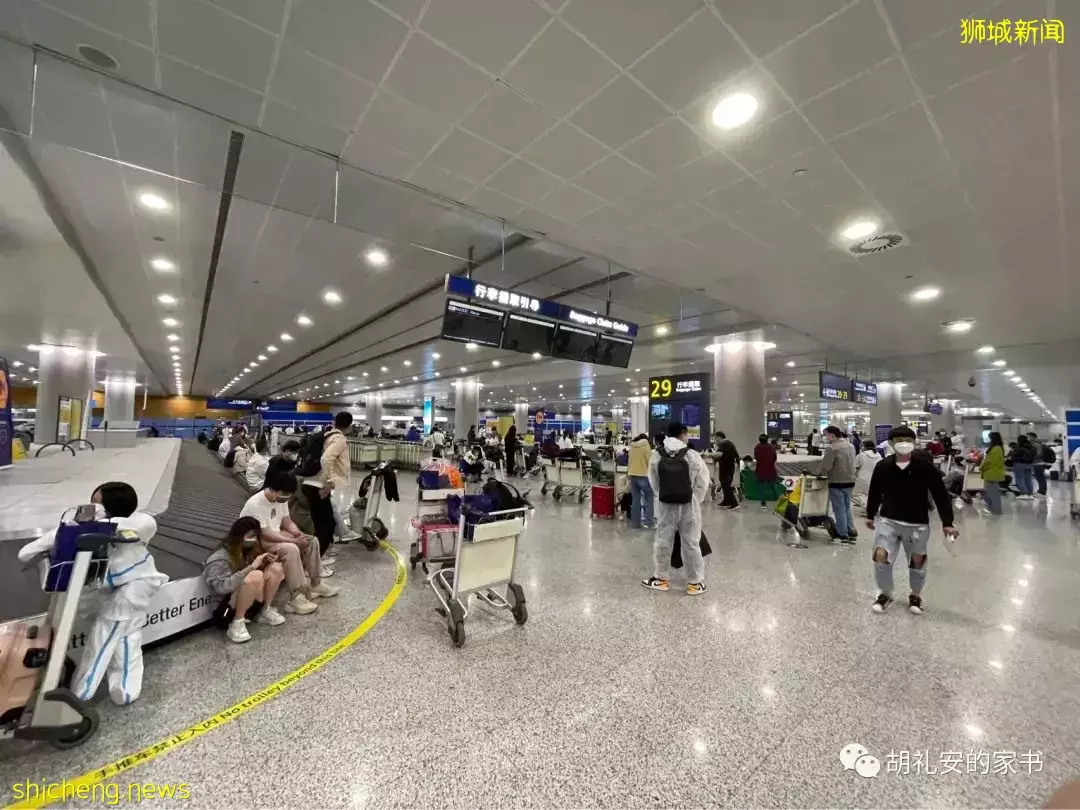 全過程記錄!4月4日從新加坡飛往封城中的上海,入境隔離多圖