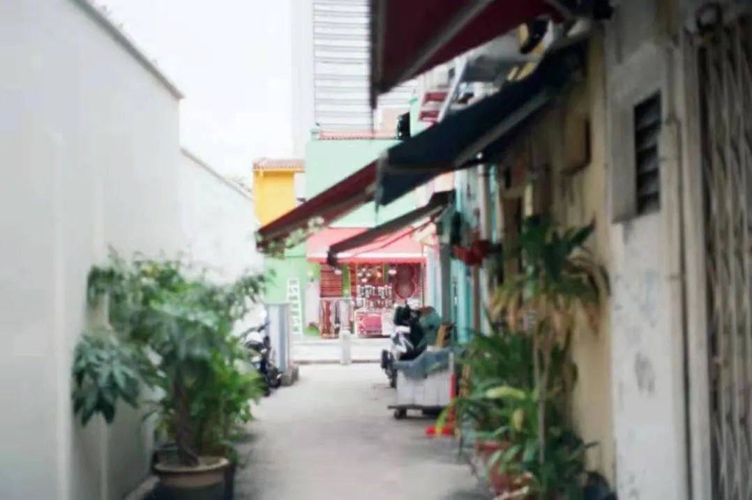 新加坡一年产500吨垃圾!平均每人每年制造一吨