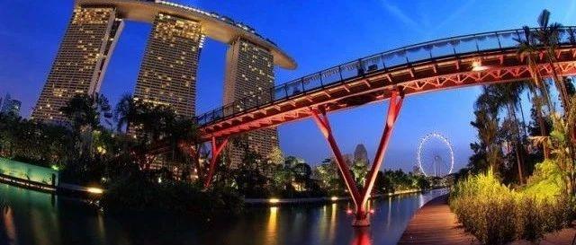 如果打算去新加坡工作，你知道应该办理什么签证么