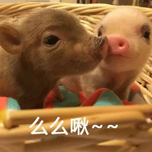 在CBD也可以擁抱綠色自然——細數新加坡那些鬧中取靜的Secret Garden