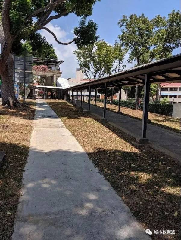 走马观花:微观视角下的新加坡道路设计