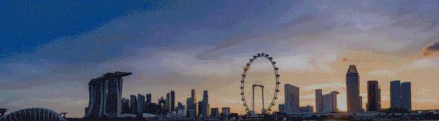 將自然引入城市:新加坡“花園城市”背後的故事