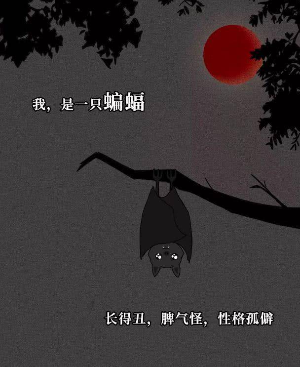 连吃鸭血都会被罚的新加坡，到底有多抗拒野味